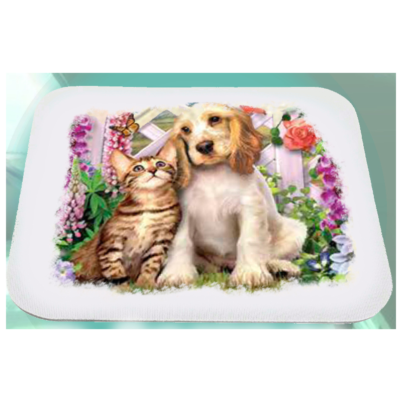 Mousepad con foto gatto e cane