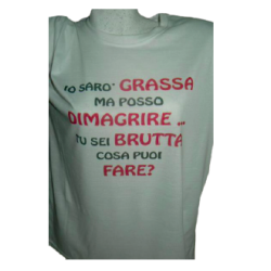 t-shirt con frase sarò grassa ma posso dimagrire... taglie assortite S-M-L-XL-XXL