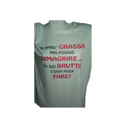 t-shirt con frase sarò grassa ma posso dimagrire... taglie assortite S-M-L-XL-XXL