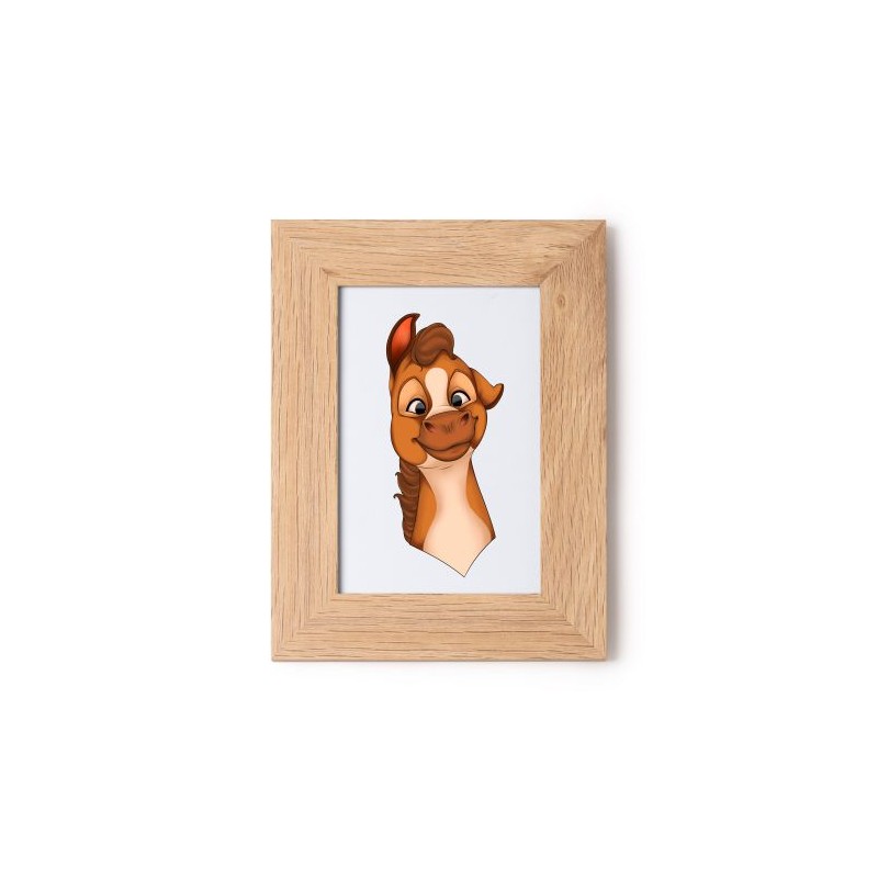 Cornice porta foto cm 10x15 stampa mini pony maschio