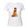 T-shirt donna con stampa mini pony  maschio
