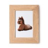 Cornice porta foto cm 10x15 stampa mini pony maschio