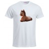 T-shirt con stampa mini pony maschio