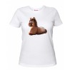 T-shirt donna con stampa mini pony  maschio