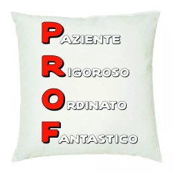 cuscino 40 x 40 cm scritta professore insegnante scuola idea regalo anno