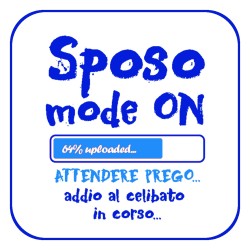 Cuscini celibato - nubilato ( sposo mode on)