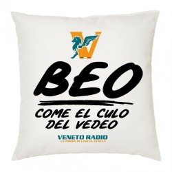 cuscino 40x40 scritta logo veneto radio beo come el culo del vedeo