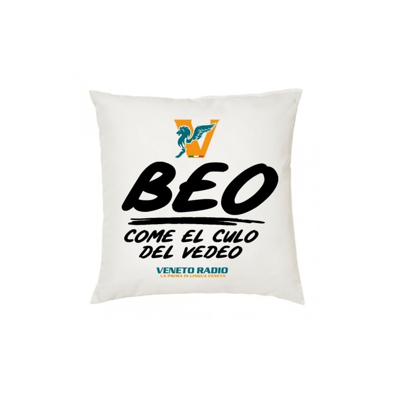 cuscino 40x40 scritta logo veneto radio beo come el culo del vedeo