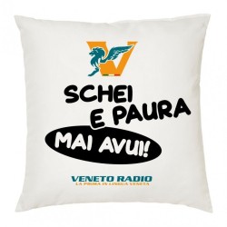 cuscino 40x40 scritta logo veneto radio schei e paura mai avui