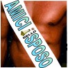 F224117 FASCIA in poliestere AMICI DELLO SPOSO