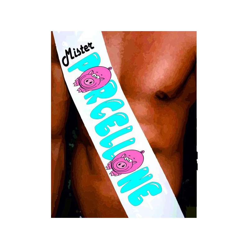 Fasce miss - mister personalizzate (mister porcellone)